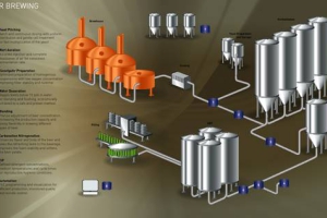 Sistemas de processo de fabricação de cerveja